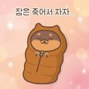 미션 아카데미 이미지