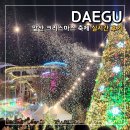 대덕초교 | 2025 대구 크리스마스 축제 앞산 빨래터공원 겨울정원 실시간 후기