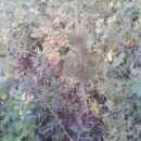 1-4호어린이공원 이미지