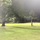 조명여행사 이미지