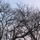 현동농협 앞 이미지