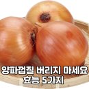 양파껍질 그냥 버리지 마세요! 놀라운 효능과 활용법 이미지