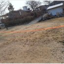 청도강변돌고래펜션 이미지