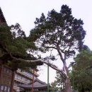 종로-종로-종로-종-127 이미지