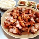 숨은골목 - 칠곡군 | 숨은골목