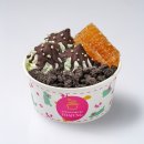 요거트 아이스크림의 정석 이미지