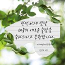 채움의료재단 이미지