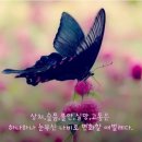 르솔트