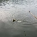 주봉낚시터 이미지