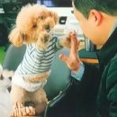 (주)네츄럴굿띵스