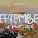 태흥상회 | [ 와인 세일 / 9월 4주차 ] 미리보는 9월 넷째주 초특가 와인 할인 &amp; 행사 정보 모음.ZIP