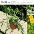 원하농장 이미지