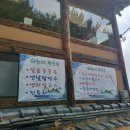 하늘이푸른숲
