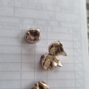 기장우체국 이미지