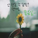 담주초등학교 이미지