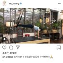 에이스메디텍 이미지