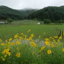 솔바우마을 이미지