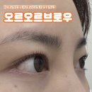 53 | [응암] 유지력 좋은 은평구 속눈썹펌 추천 '오르오르브로우' 시술 후기