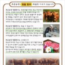 초은농장 이미지