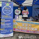 장터사랑 이미지