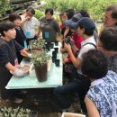 싱싱장구 이미지