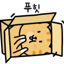 구지동물병원 이미지