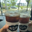 비니즈