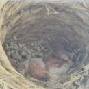 두자매PC 이미지