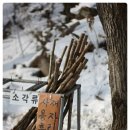 망향탑 공중화장실 | [여행] 영월사람, 영월 구경하다. 일부분만. [2013년 1월 15일]