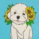 샤미 아틀리에