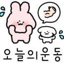 용화주짓수