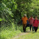 주목나무집 이미지