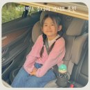 주니어카시트 사용시기 나이 싸이벡스 솔루션 T 컴포트 추천