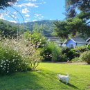 작은마을, 작은숲 이미지