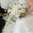 굿디자인세이브 | 베리굿 플래너 추천 동행 플래너 진행 후기 - 최혜령 플래너님