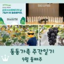 태일농장 | 동동가족 주간일기 9월 둘째주 / 합창단 연주(김포 사회복지의날 힐링음악회) / 김포포도 수확체험 /