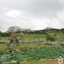진도 남서부