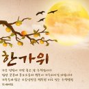 직화볶음찜닭 볶찜전남대점 | 김해 장유 율하 직화볶음찜닭 볶찜 닭볶음탕 후기 #내돈내산