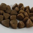 아프지말게 동물병원 이미지