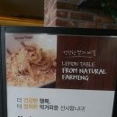 레몬라이브카페 이미지