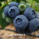 대산브릿지