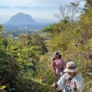 동광리-16 이미지