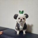 잇츠멍 이미지