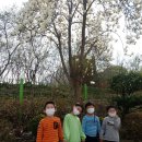 올리브유치원 이미지