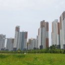 광교대림e편한단지내공인중개사사무소 이미지