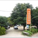 산수정 이미지