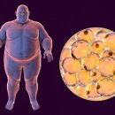 고도한의원 이미지