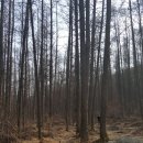 삼라만상 이미지