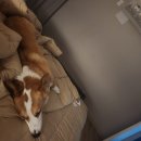 대성골프랜드 이미지