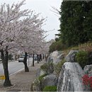 아산온천관광지 티스토리